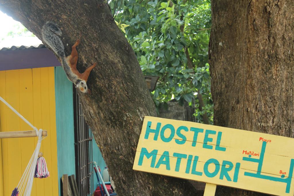 Hostel Matilori Sámara Exteriör bild